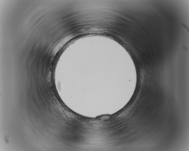 X0000103481066200810241032
