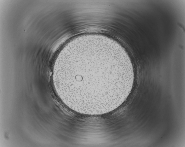 X0000103481067200810241032