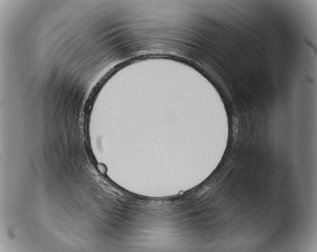 X0000103481068200810241032