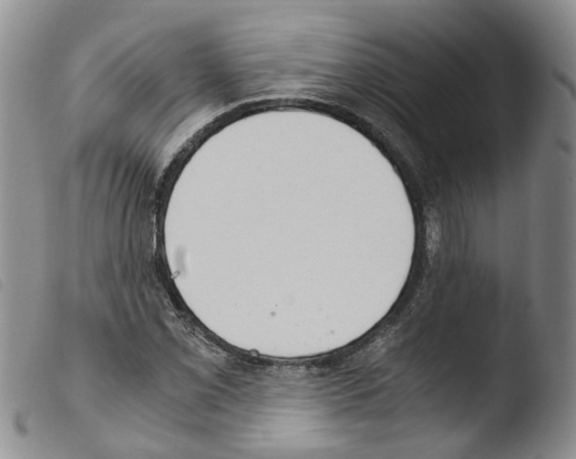 X0000103481069200810241032