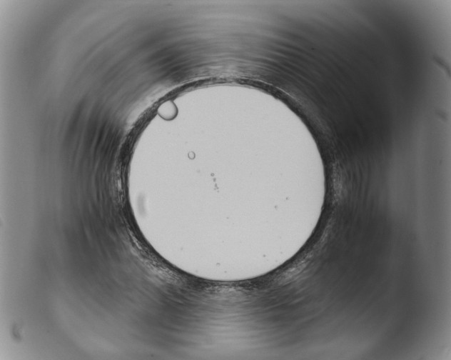 X0000103481070200810241032