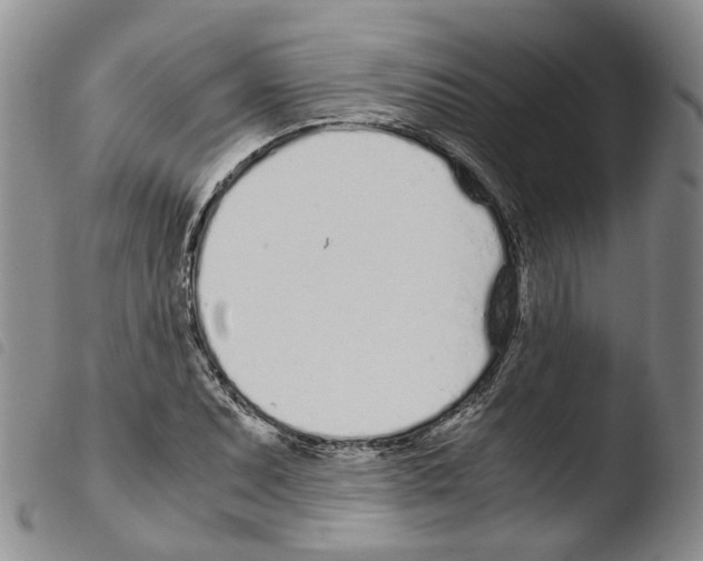 X0000103481071200810241032