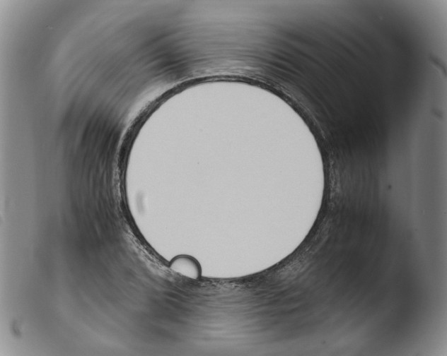 X0000103481072200810241032