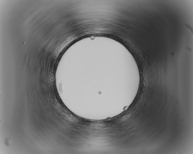 X0000103481073200810241032