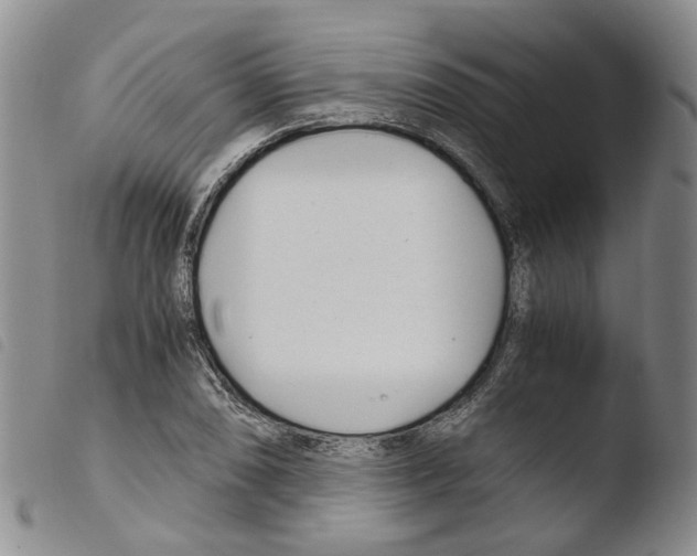 X0000103481074200810241032