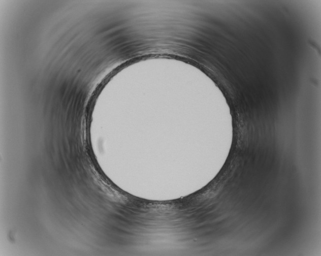 X0000103481076200810241032