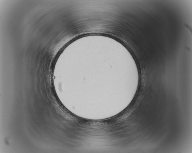 X0000103481077200810241032