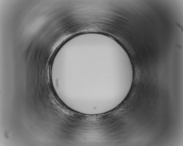 X0000103481078200810241032