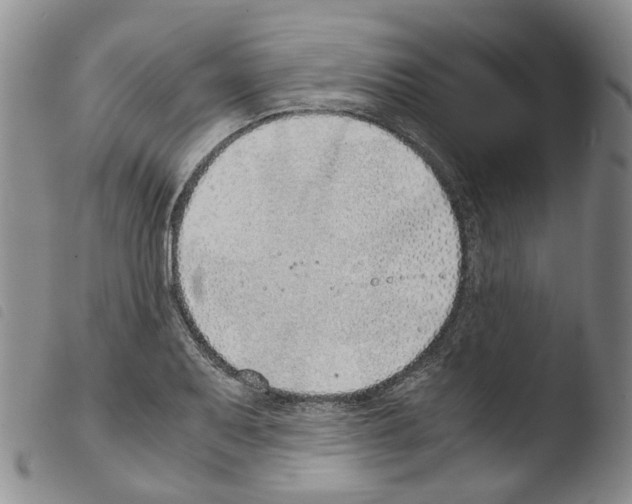 X0000103481079200810241032