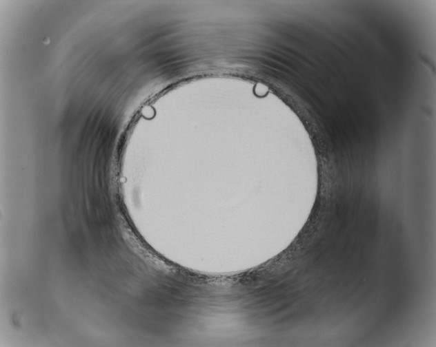 X0000103481080200810241032