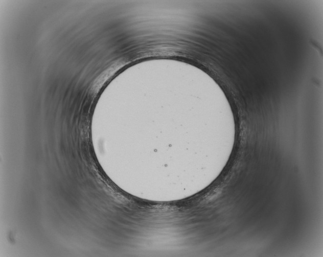 X0000103481081200810241032