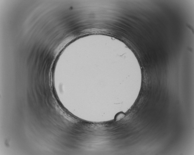 X0000103481082200810241032