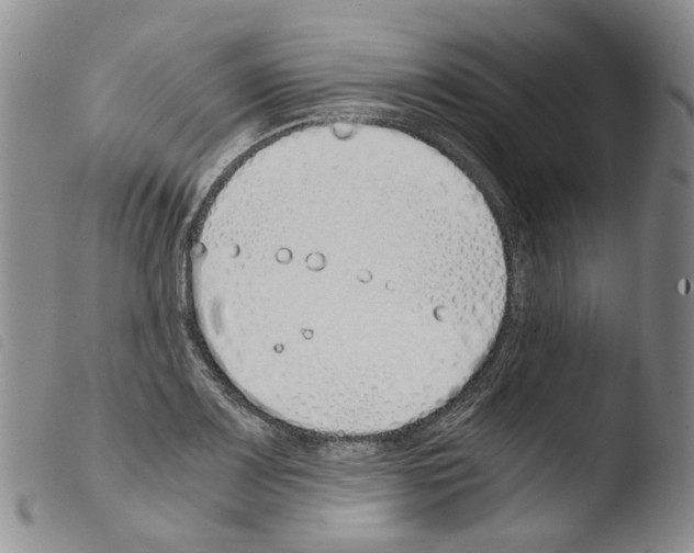 X0000103481083200810241032