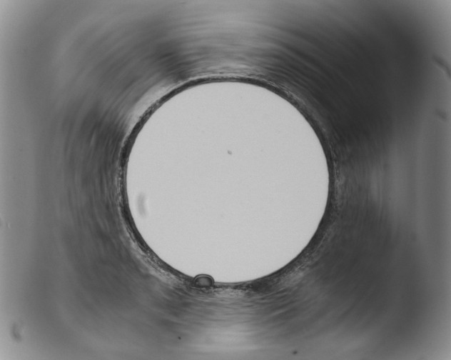 X0000103481085200810241032
