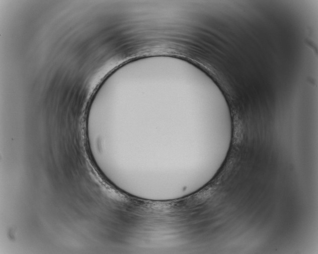X0000103481086200810241032