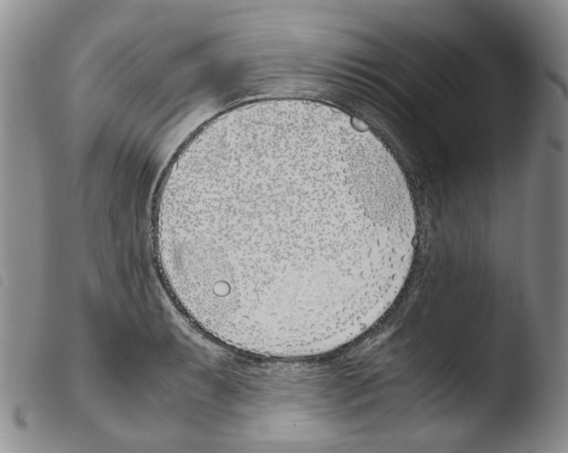 X0000103481087200810241032