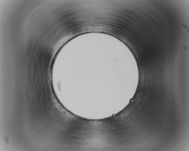X0000103481088200810241032