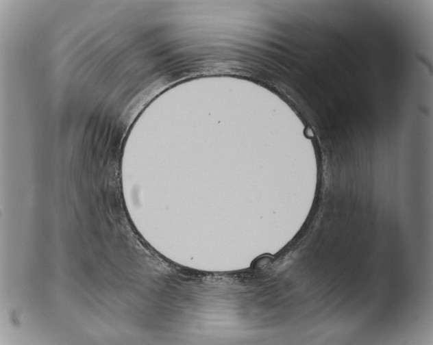 X0000103481089200810241032