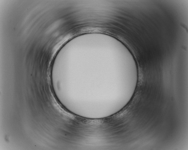 X0000103481090200810241032