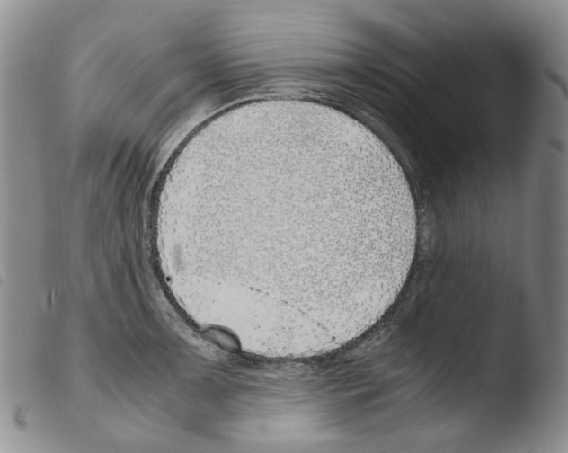 X0000103481091200810241032