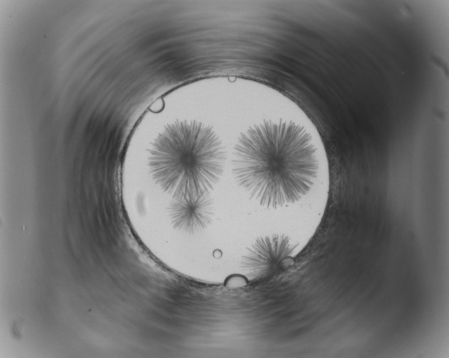X0000103481092200810241032
