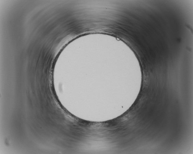 X0000103481093200810241032