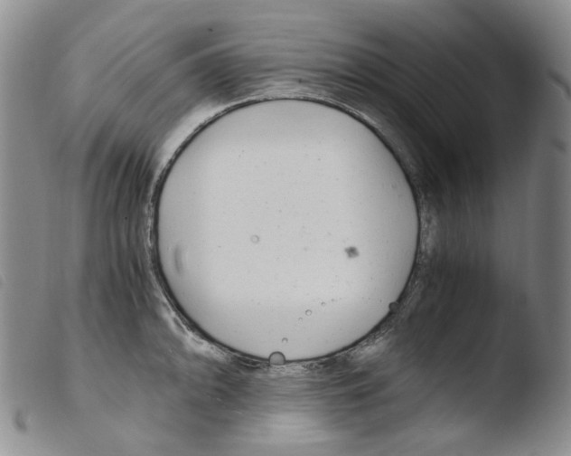 X0000103481094200810241032
