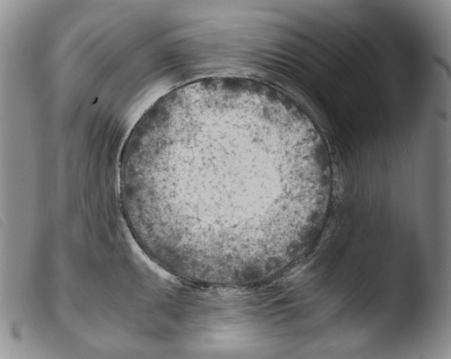 X0000103481095200810241032