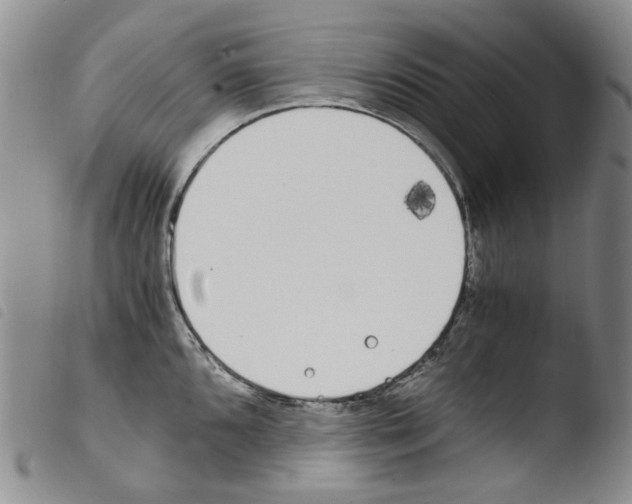 X0000103481096200810241032