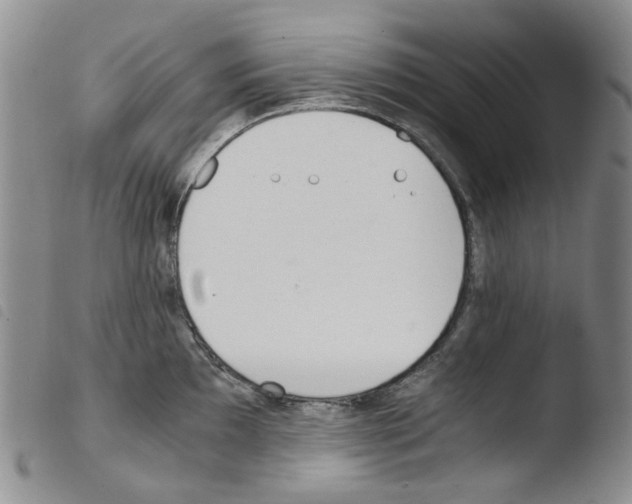 X0000103481097200810241032