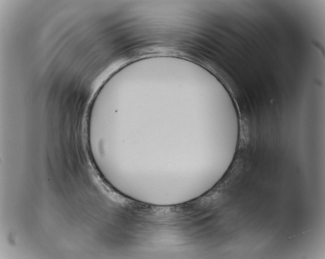 X0000103481098200810241032