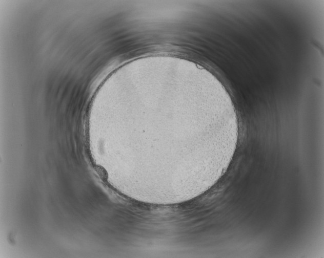 X0000103481099200810241032