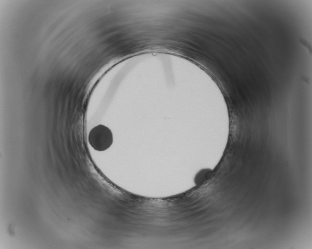 X0000103481100200810241032