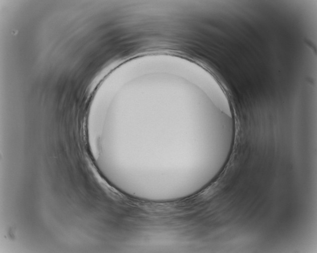 X0000103481101200810241032