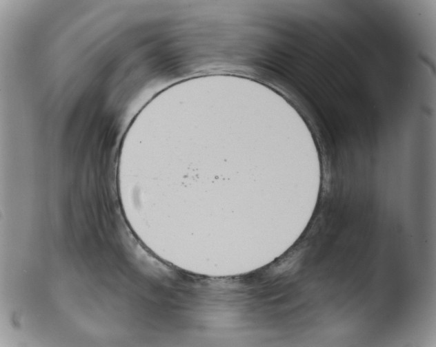 X0000103481102200810241032