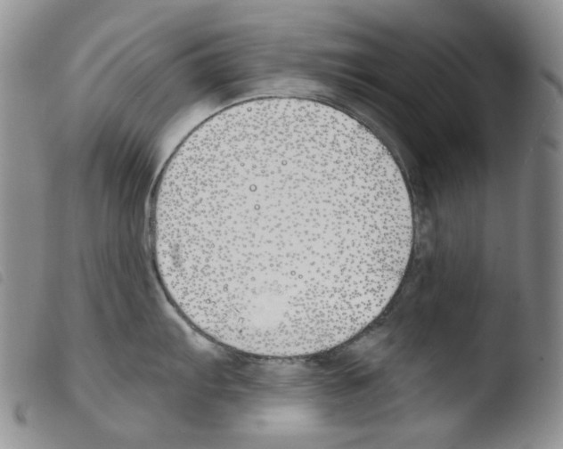 X0000103481103200810241032