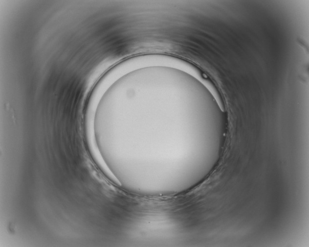 X0000103481104200810241032