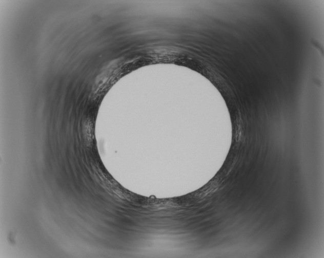 X0000103481108200810241031