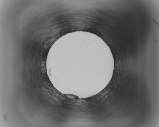 X0000103481109200810241031