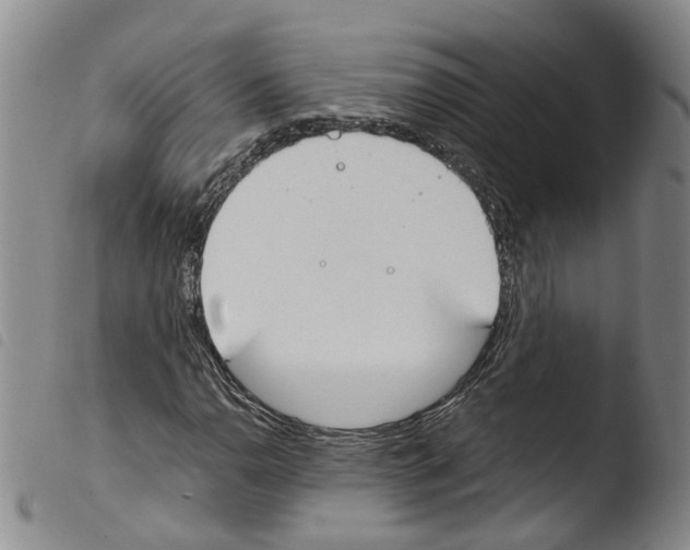 X0000103481110200810241031
