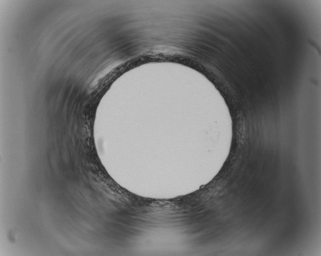 X0000103481112200810241031