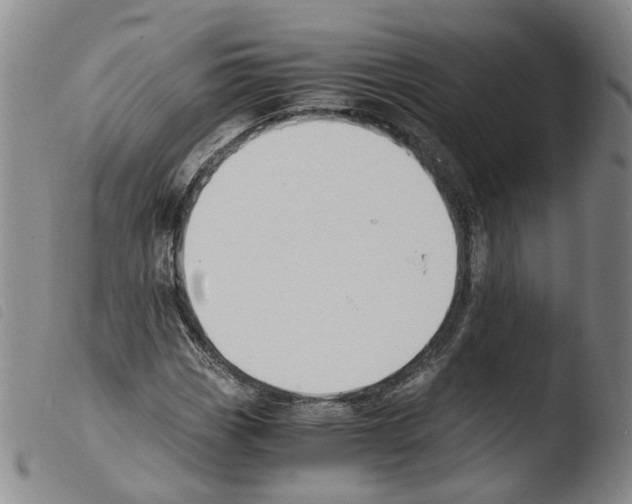 X0000103481113200810241031