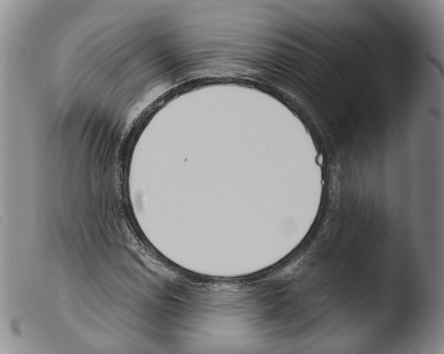 X0000103481114200810241031