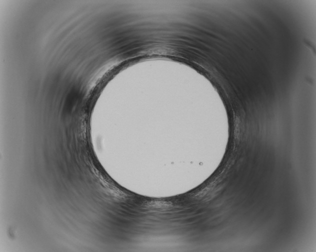 X0000103481115200810241031
