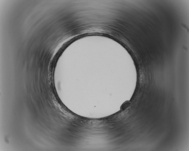 X0000103481116200810241031