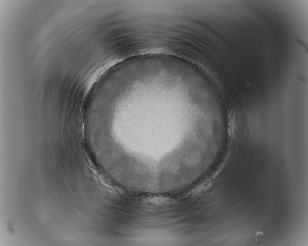 X0000103481117200810241031