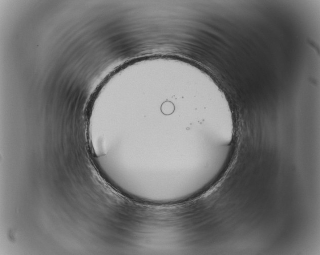 X0000103481118200810241031