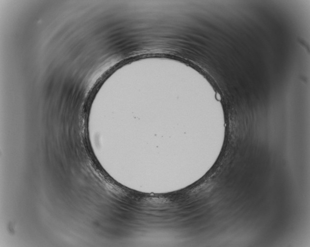 X0000103481119200810241031