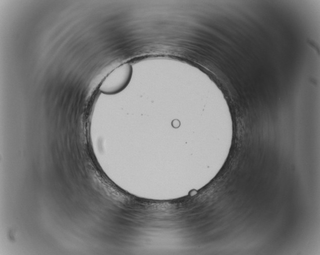 X0000103481120200810241031