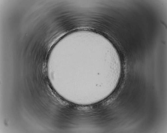 X0000103481121200810241031